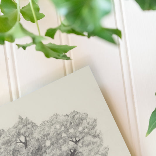 Oak Tree - Print