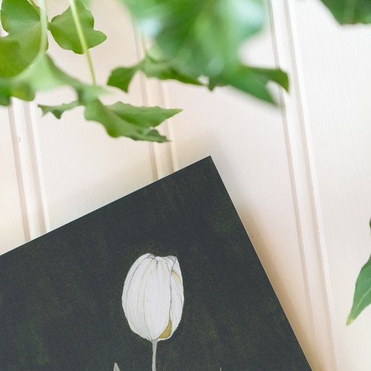 Tulips - Print