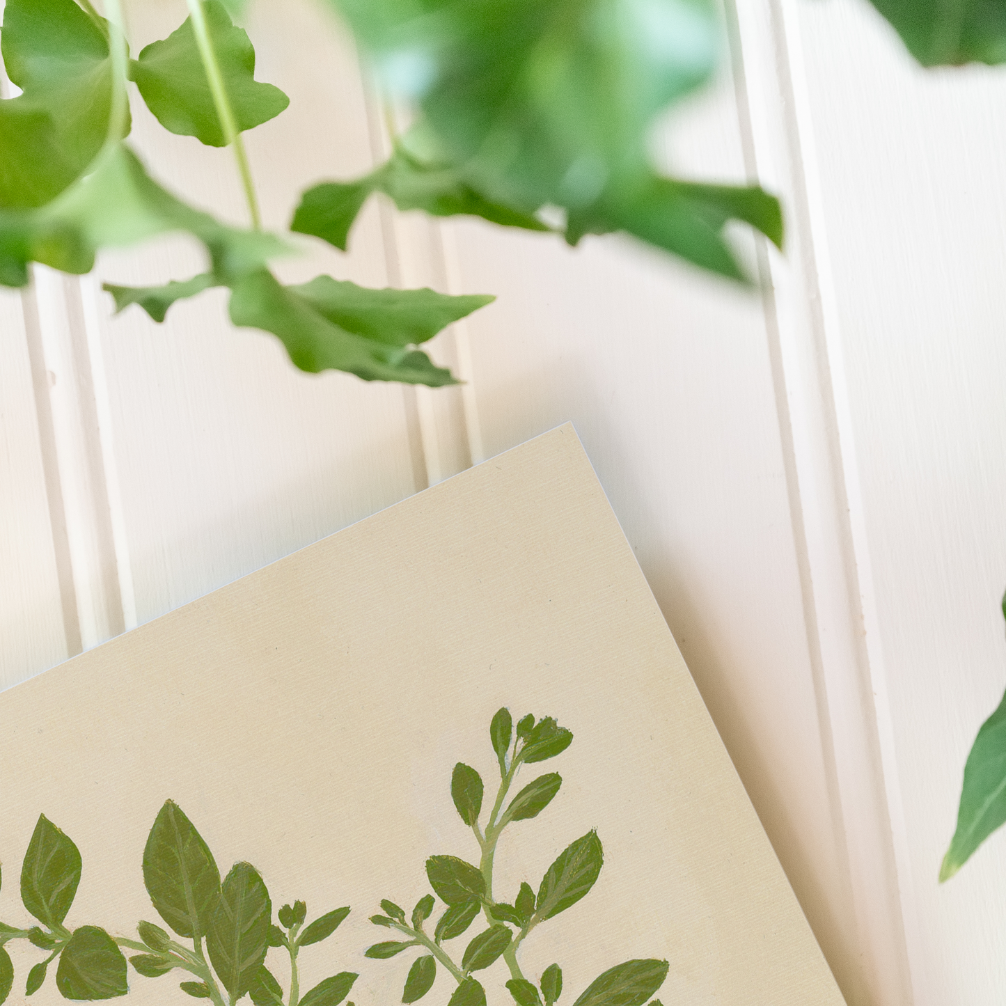 Oregano - Print
