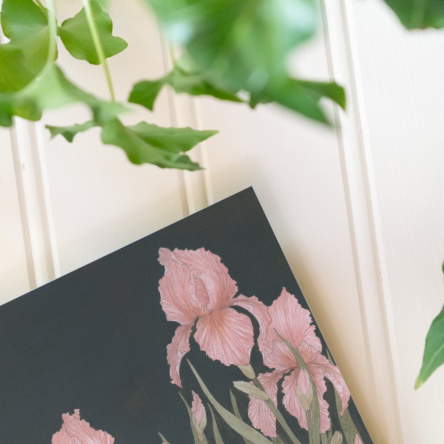 Irises - Print