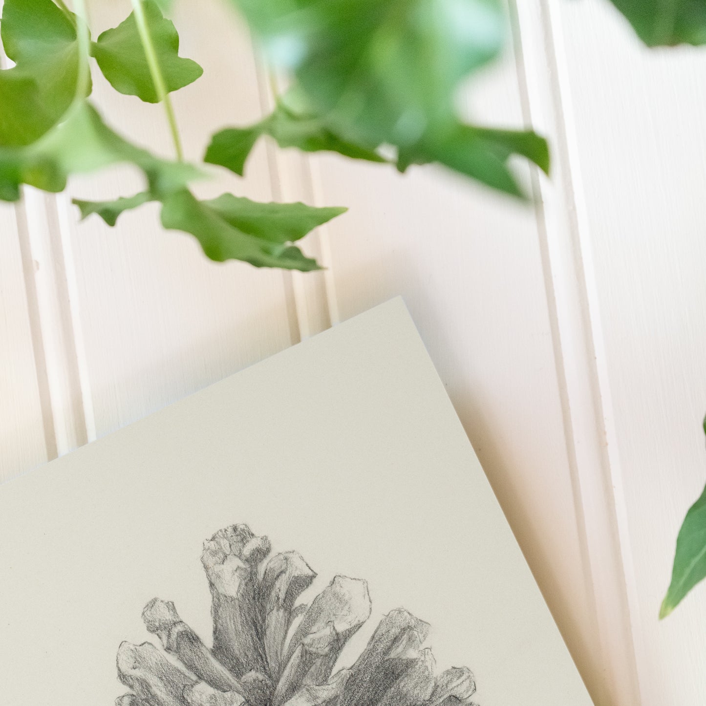 Pine Cone - Print