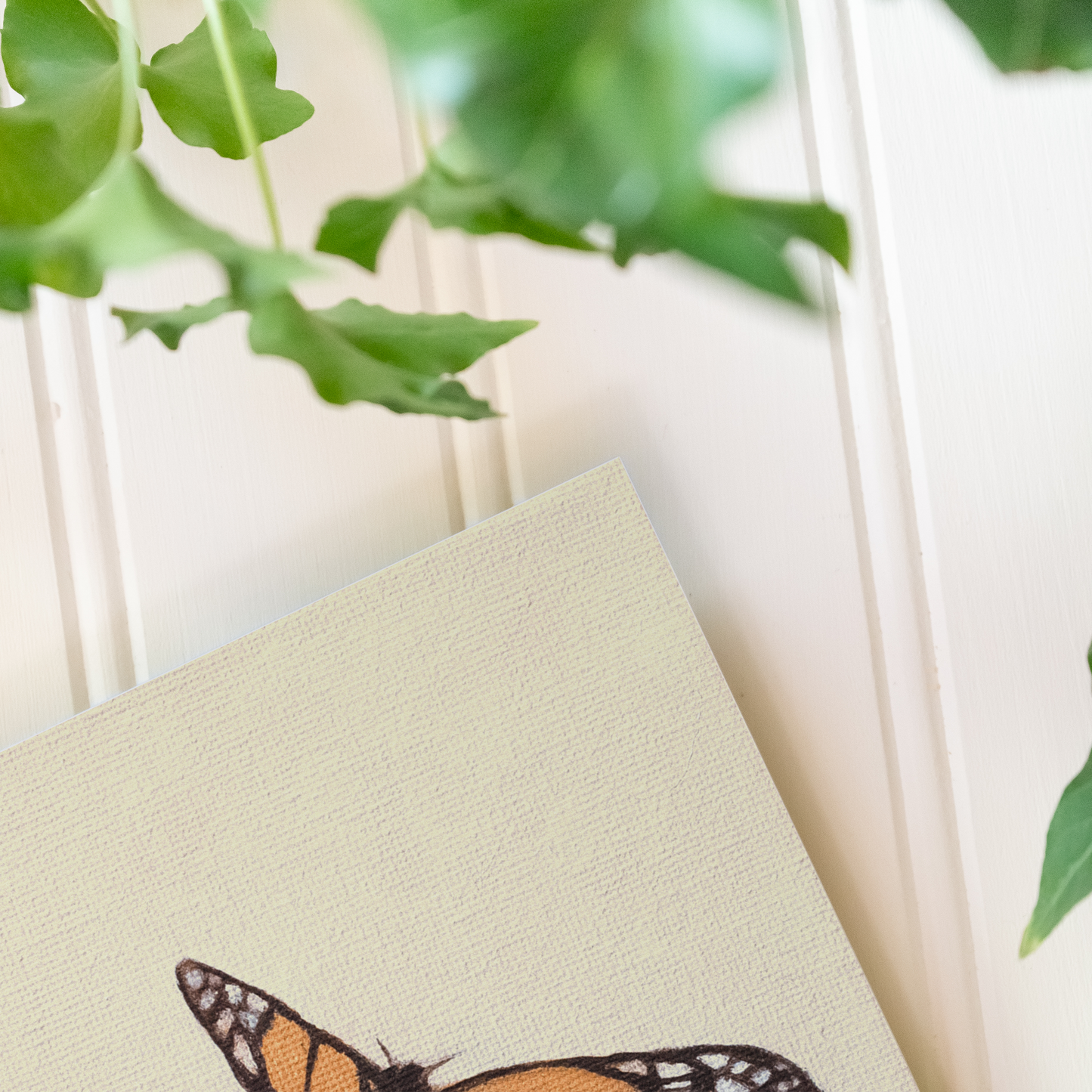 Butterfly - Print