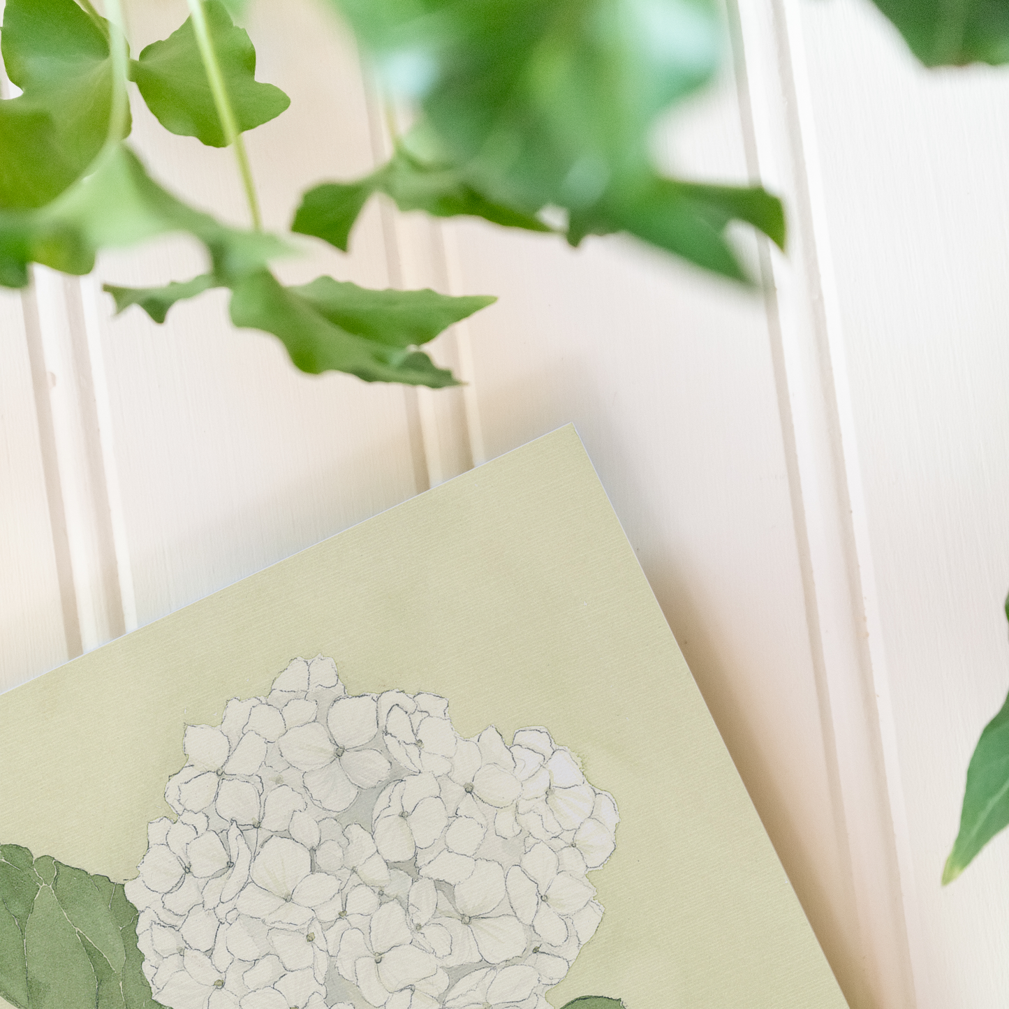 Hydrangeas - Print