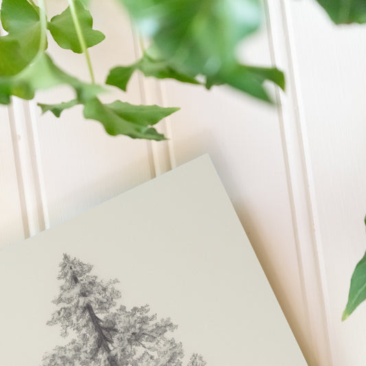 Pine Tree - Print