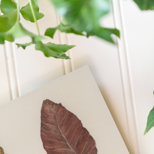 Autumn Leaves - Prints