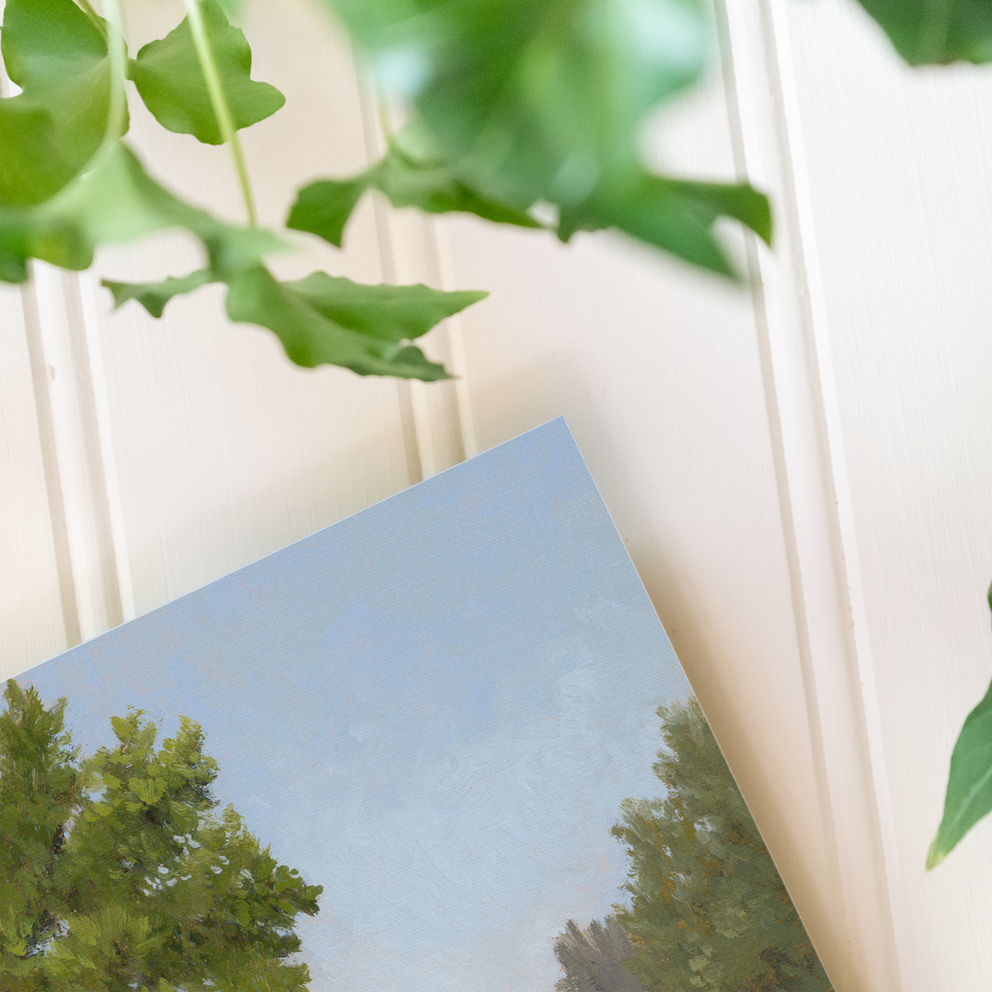Shaded Path - Print