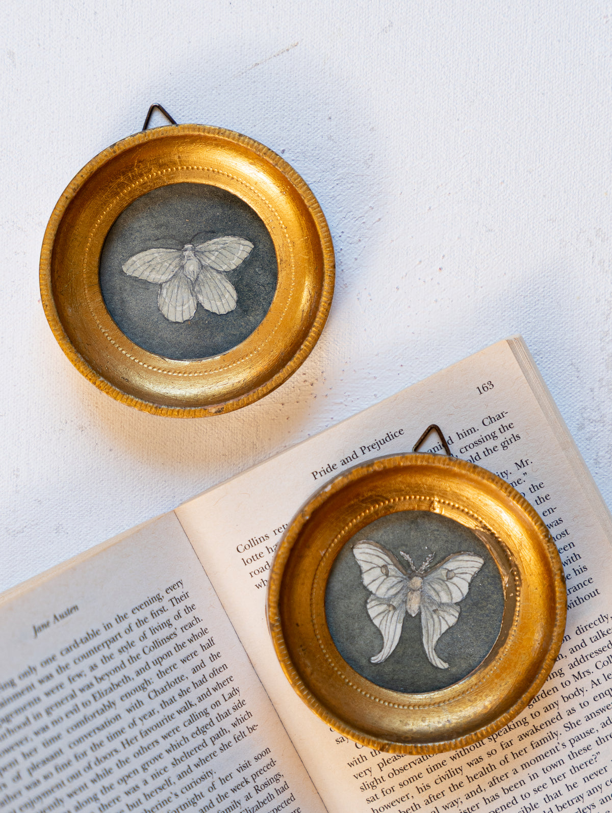 Mini Moths 2 - Original