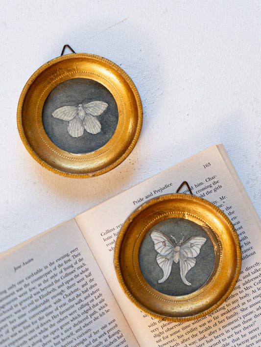 Mini Moths 2 - Original