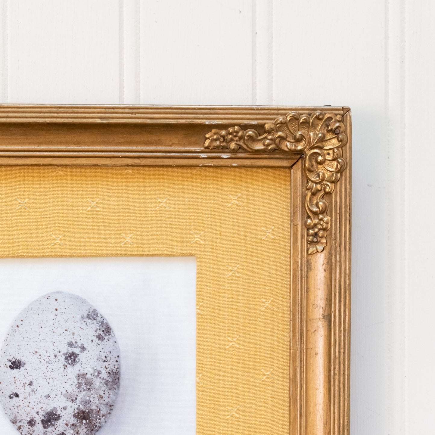 Bountiful - Framed Print