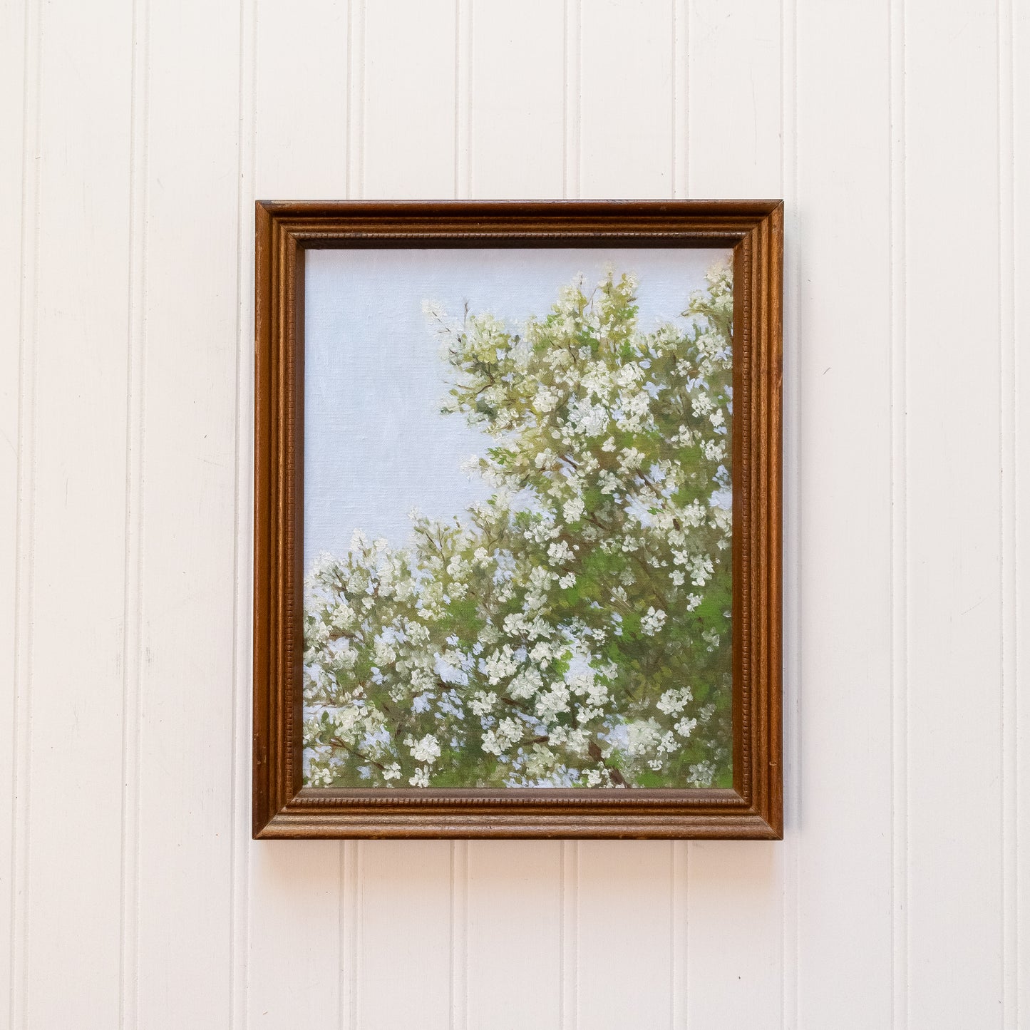 Blossom - Original