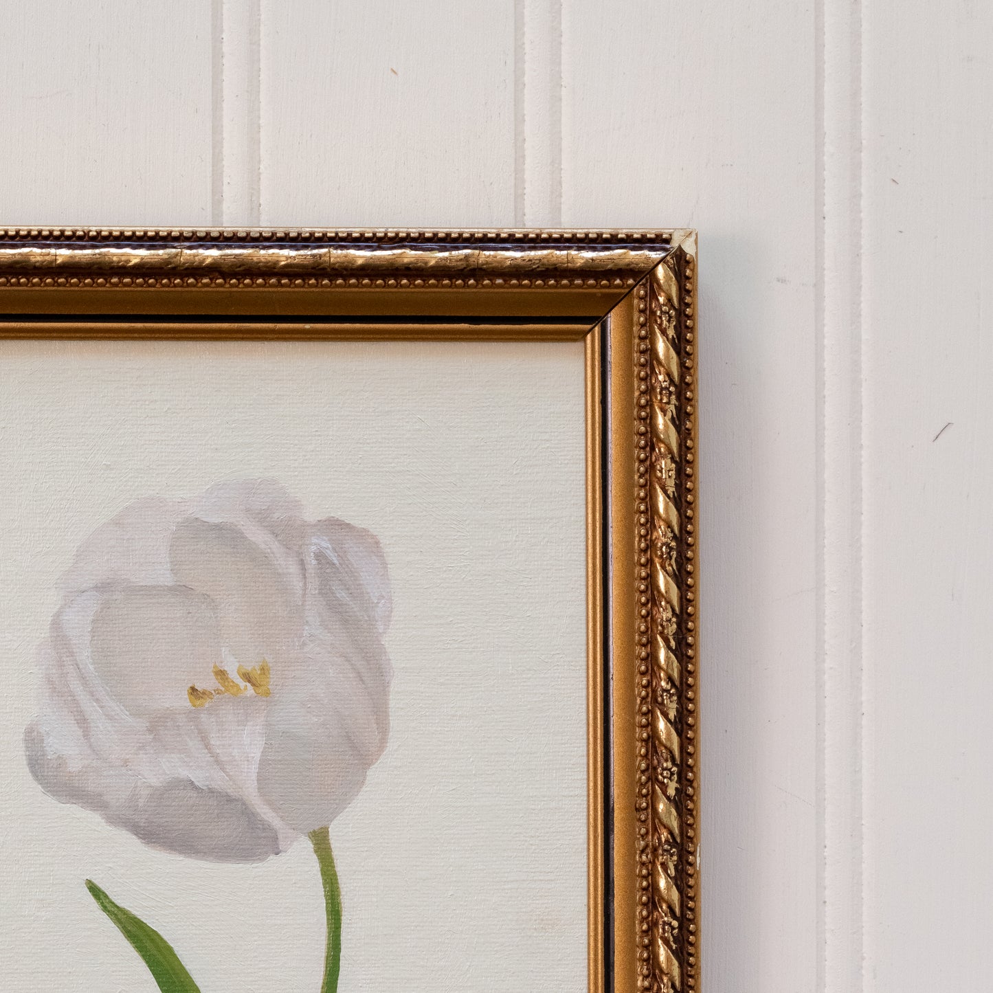 Tulip - Original