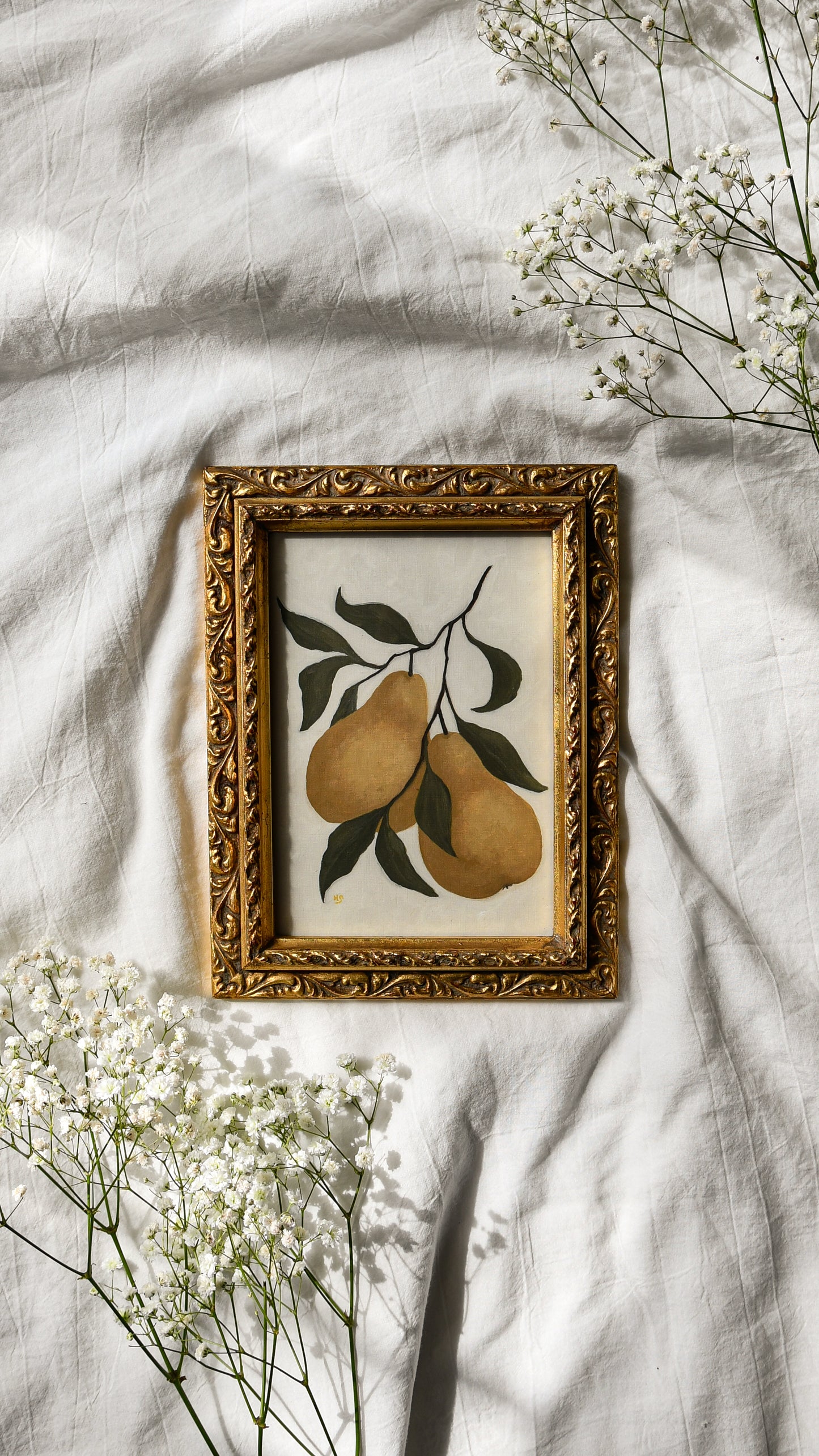 Pear Branch - Framed Print