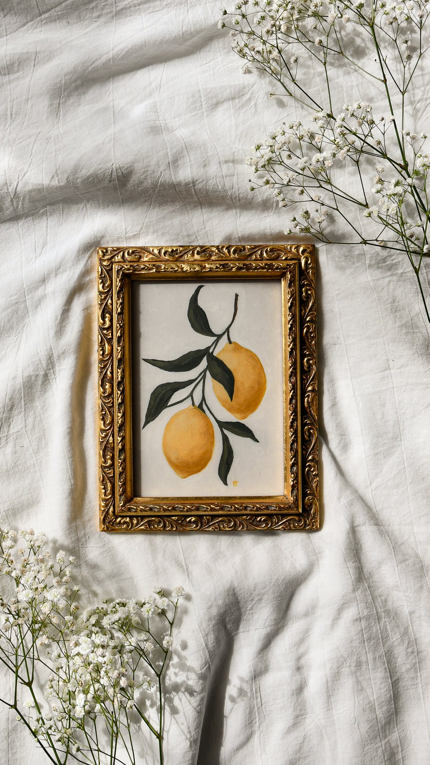 Lemon Branch - Framed Print