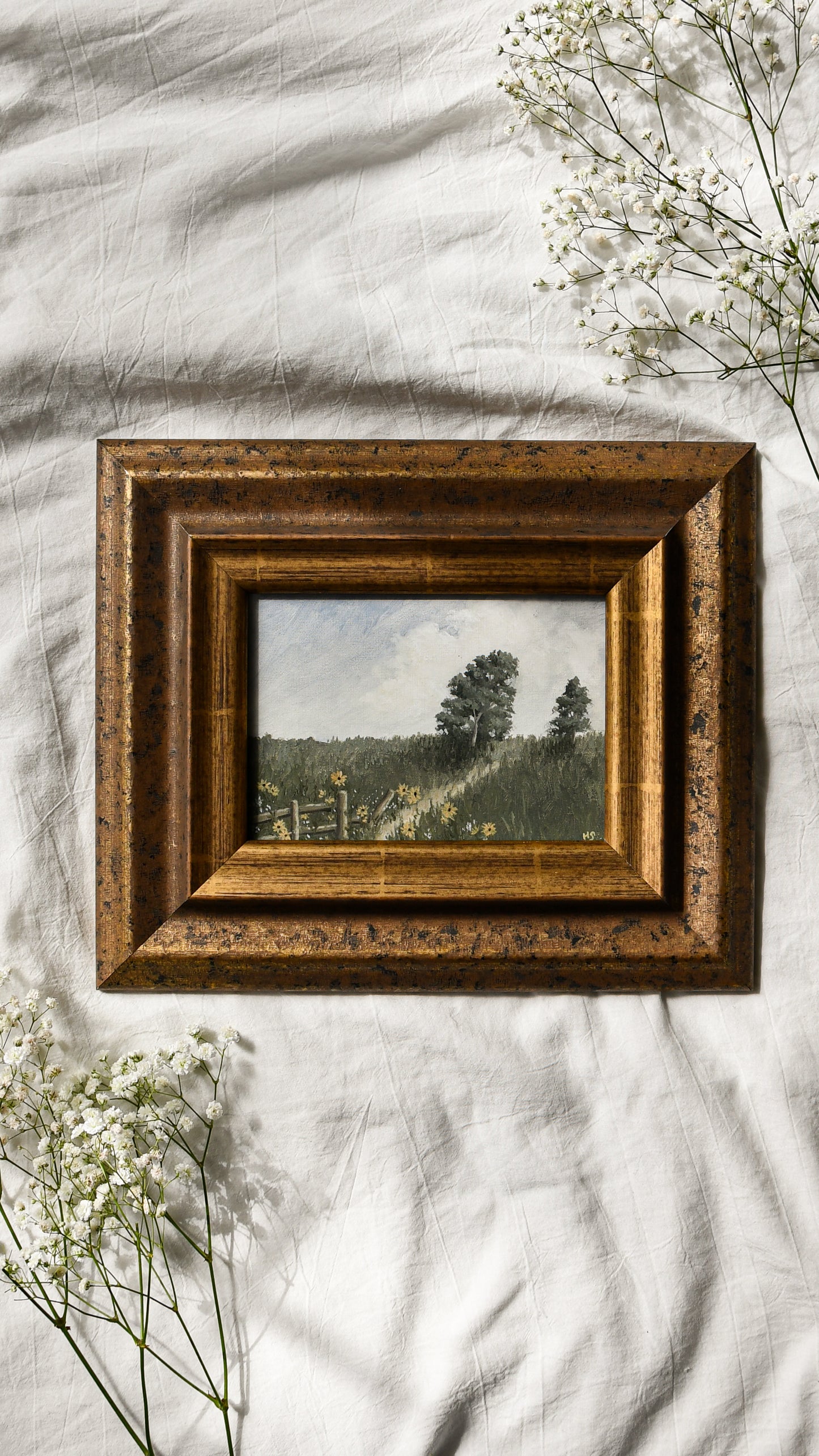 Flower Trail - Framed Print