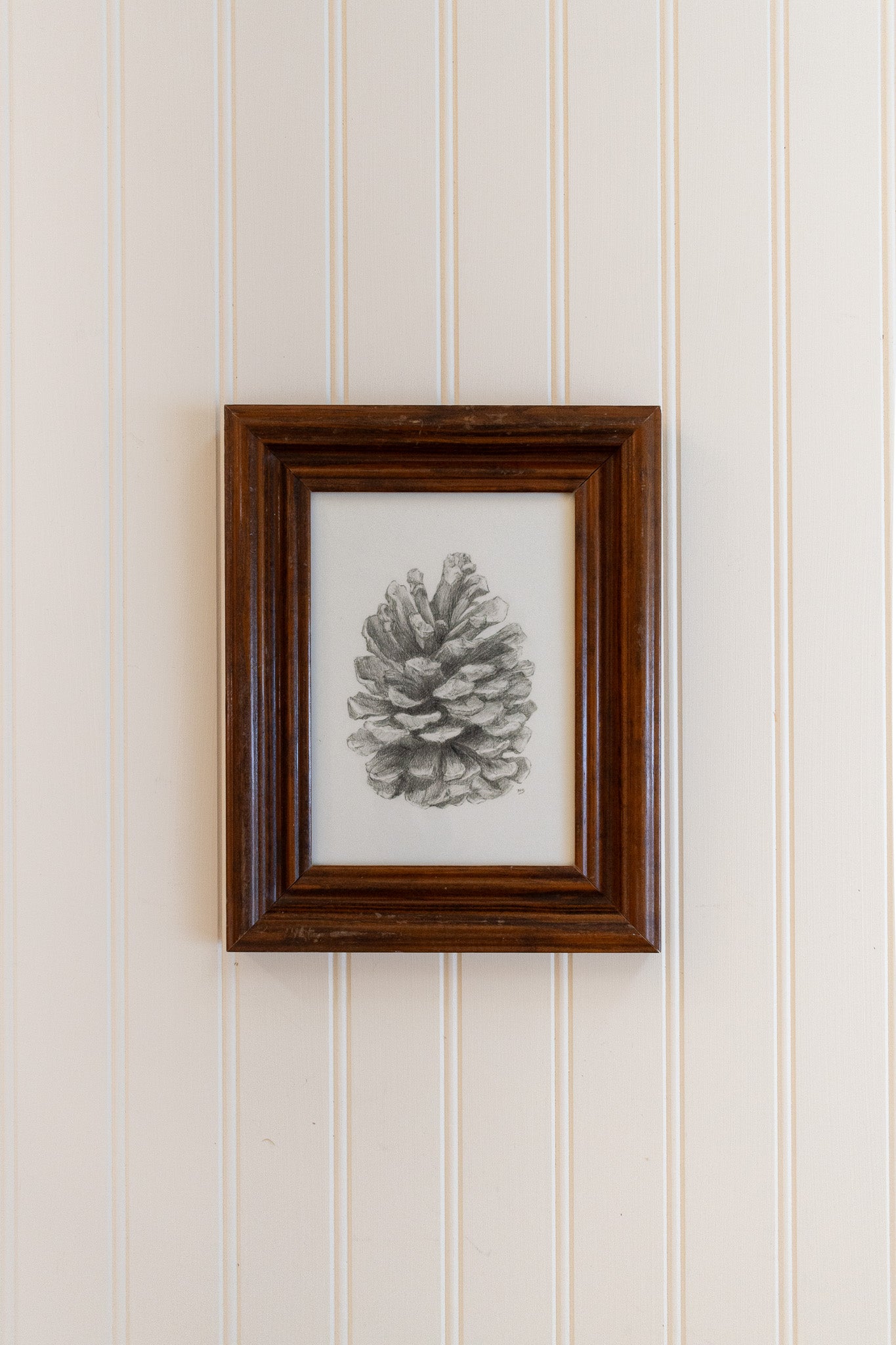 Pine Cone - Framed Print