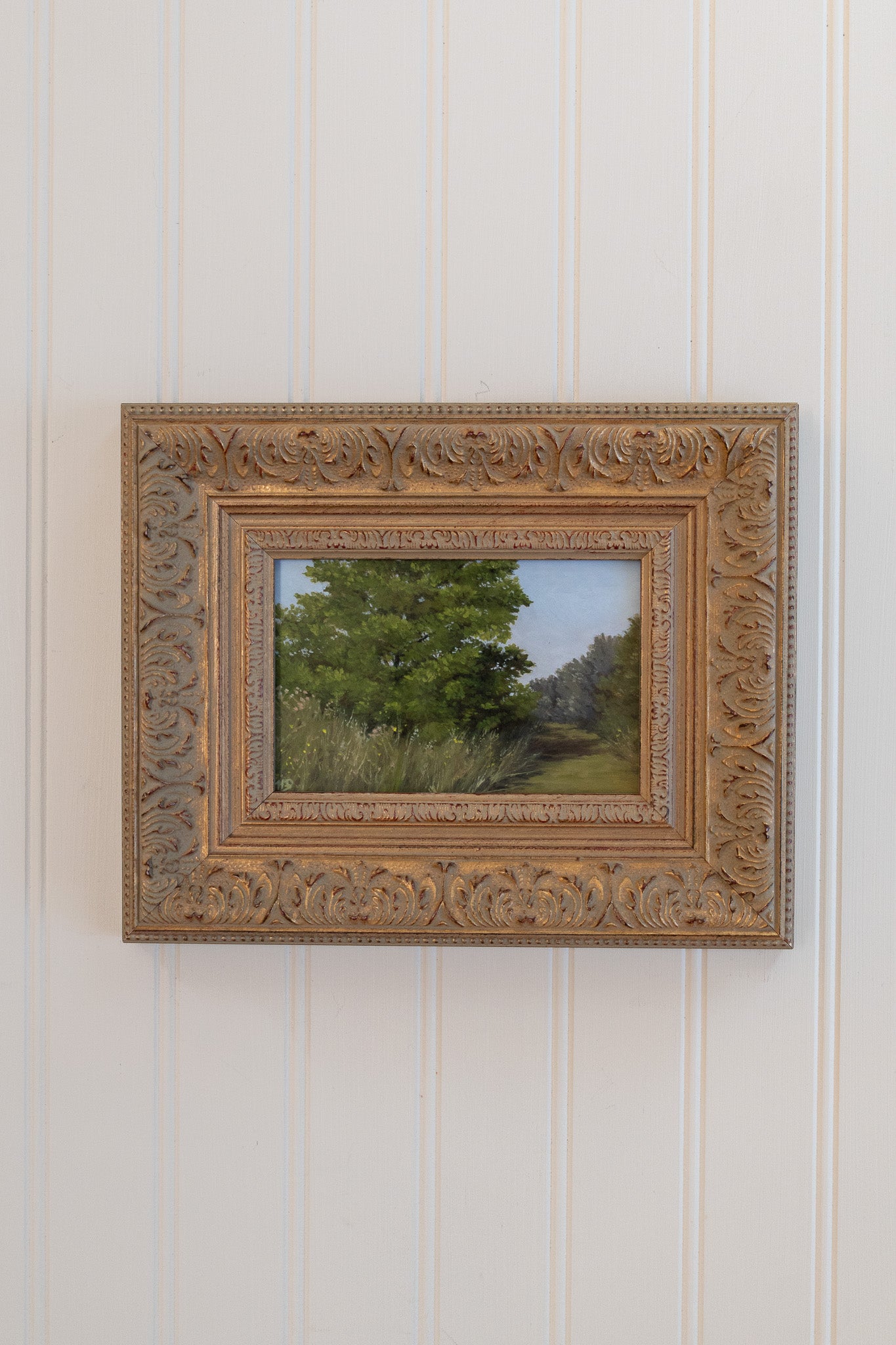 Shaded Path - Framed Print