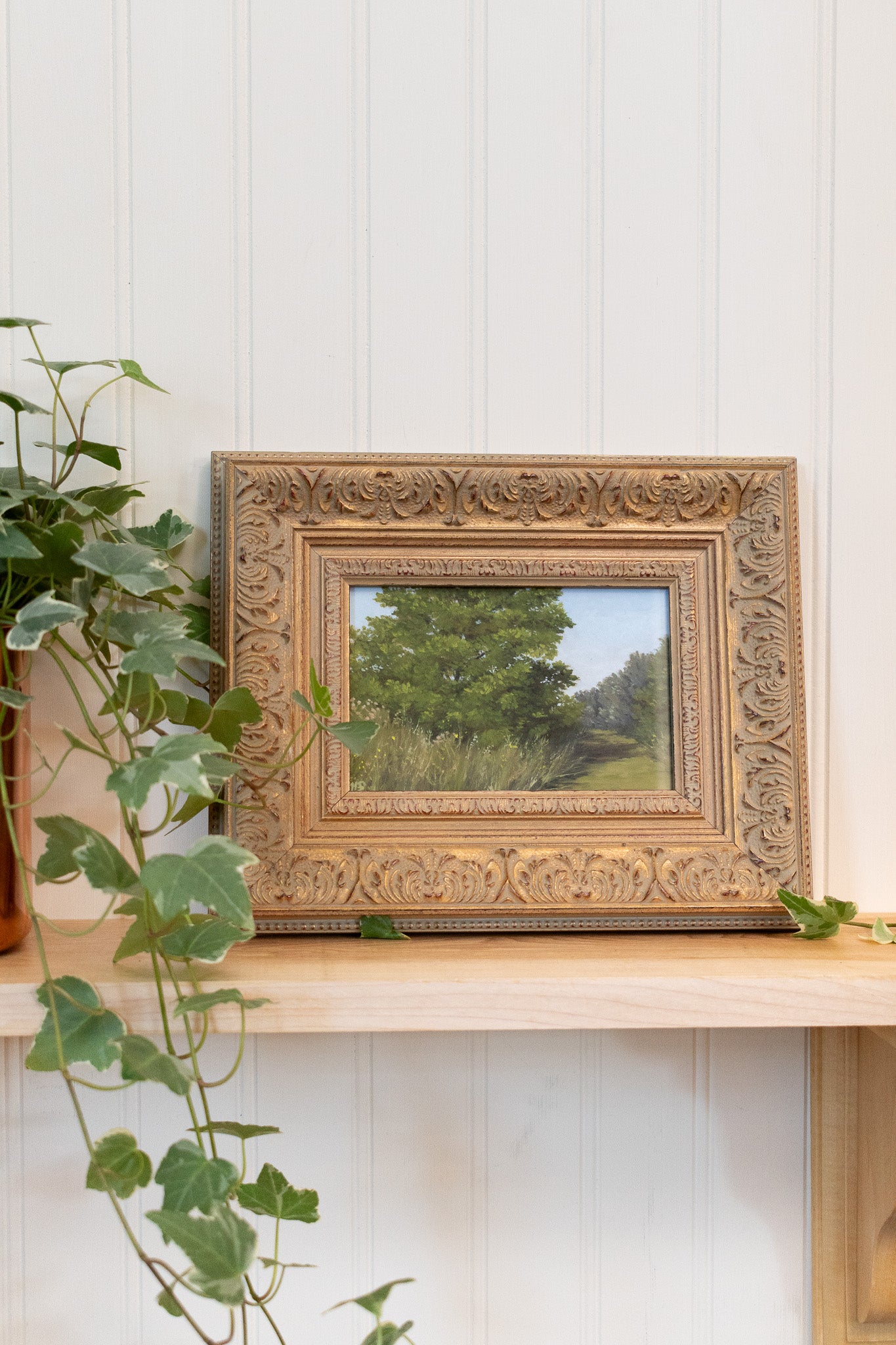 Shaded Path - Framed Print