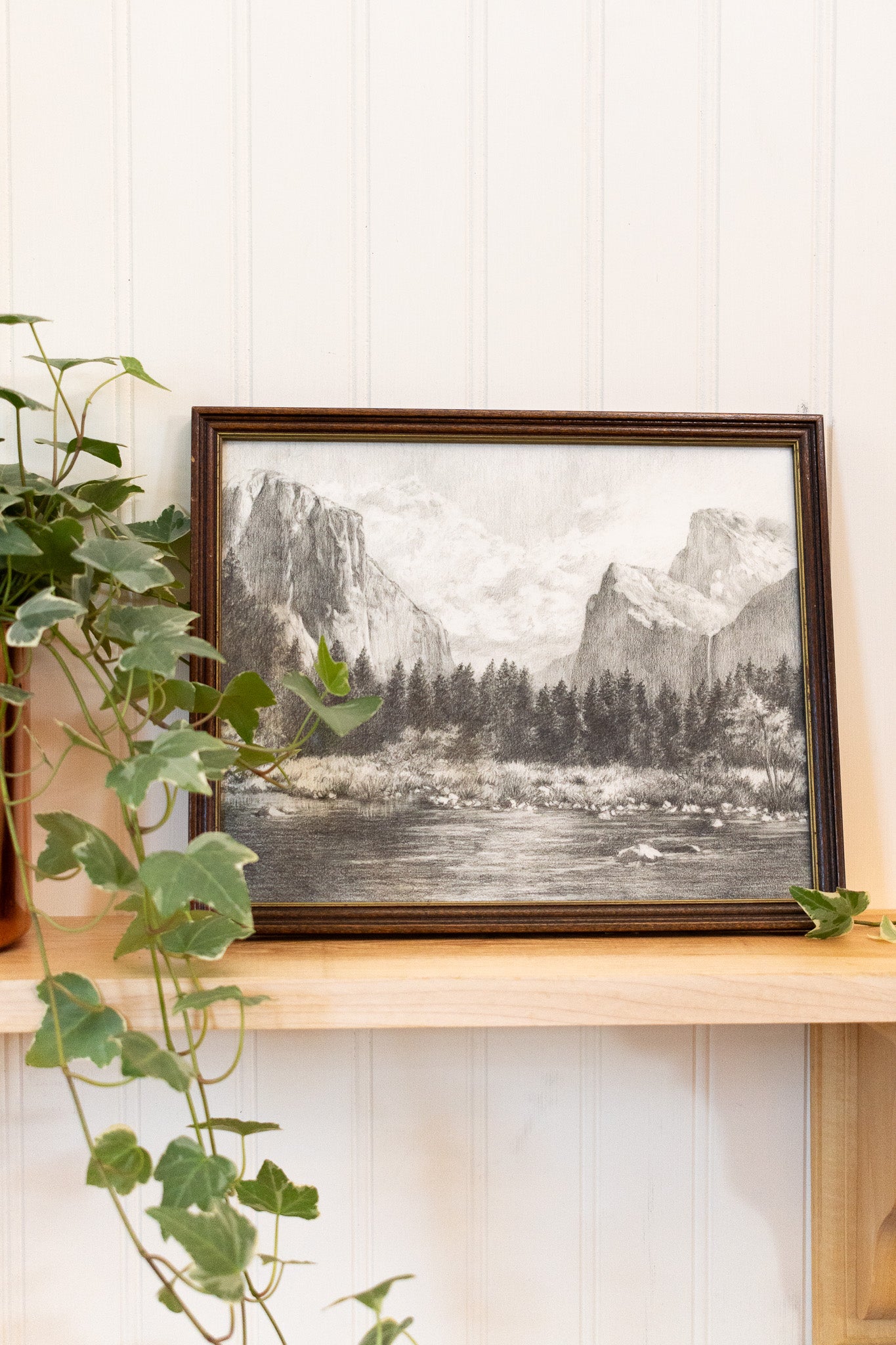 Yosemite Valley - Framed Print