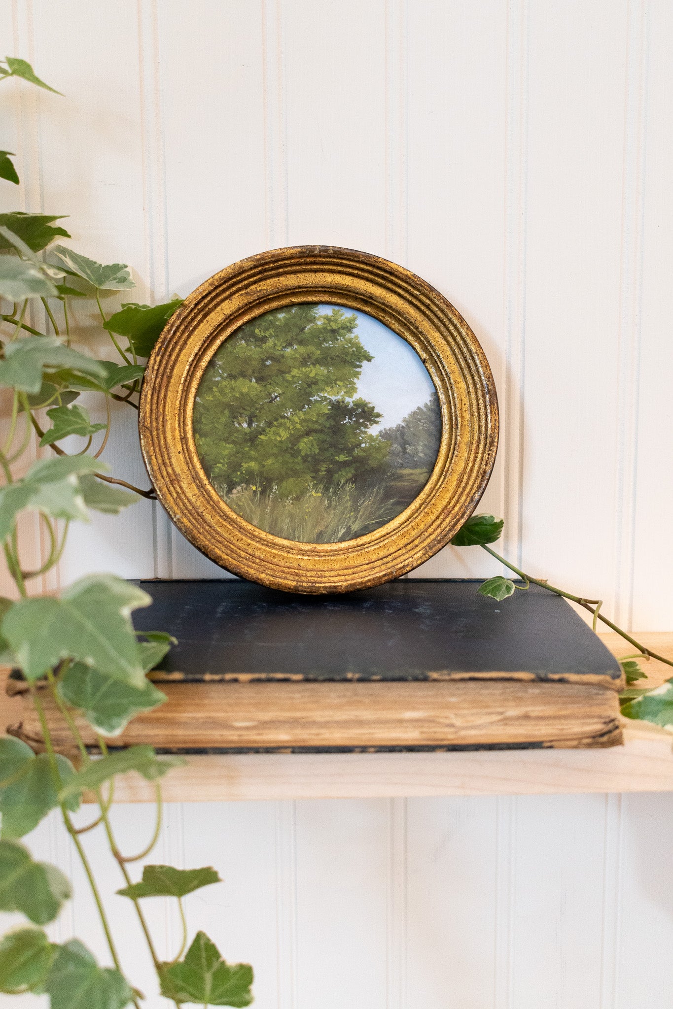 Shaded Path - Framed Print