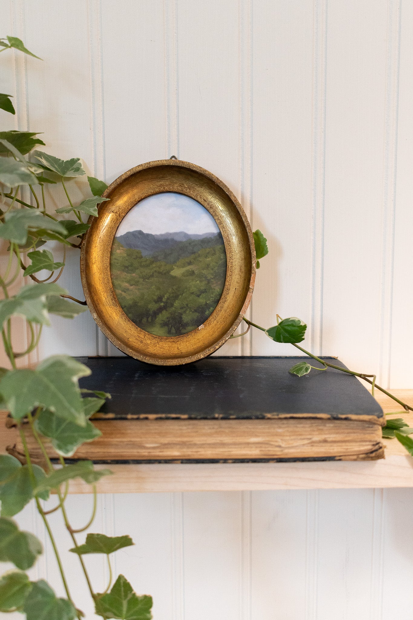 Hidden Valley - Framed Print