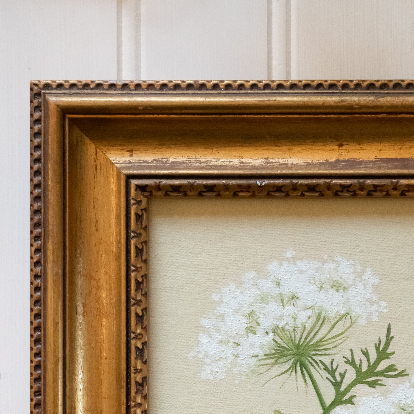 Queen Anne's Lace - Original