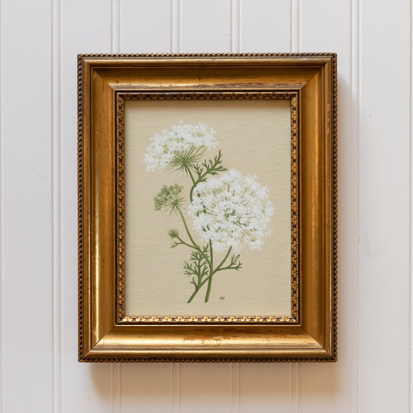 Queen Anne's Lace - Original