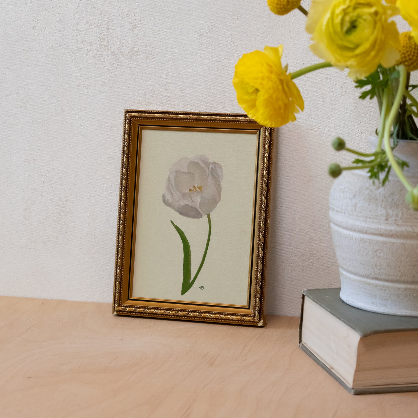 Tulip - Original