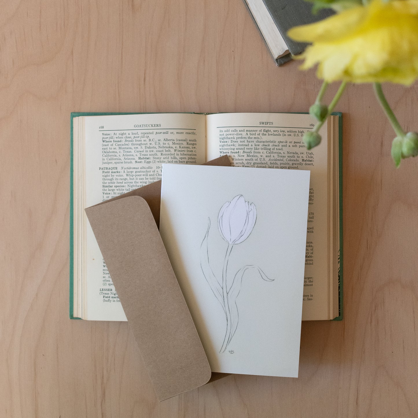 Botanicals 3 - Blank Greeting Card