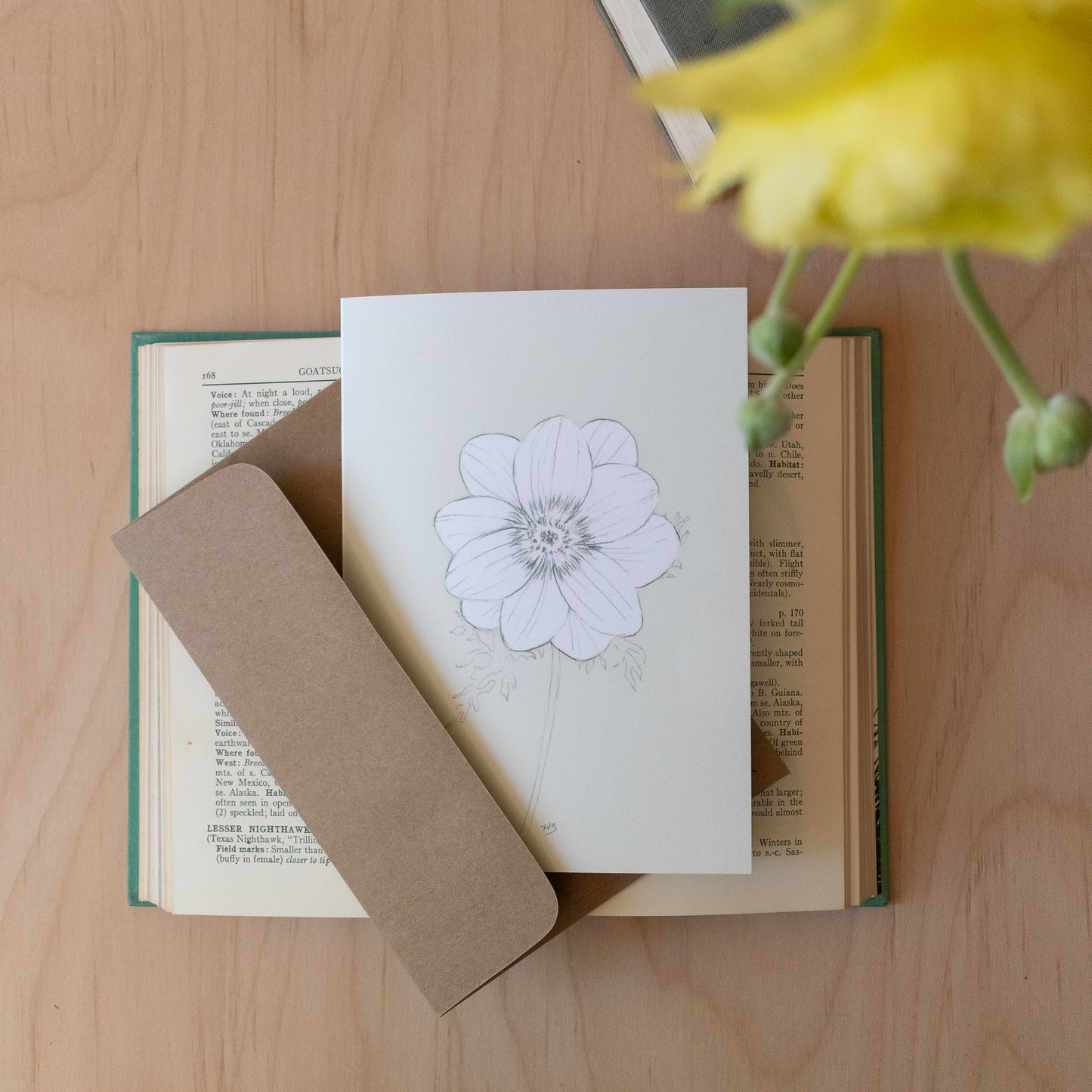 Botanicals 1 - Blank Greeting Card
