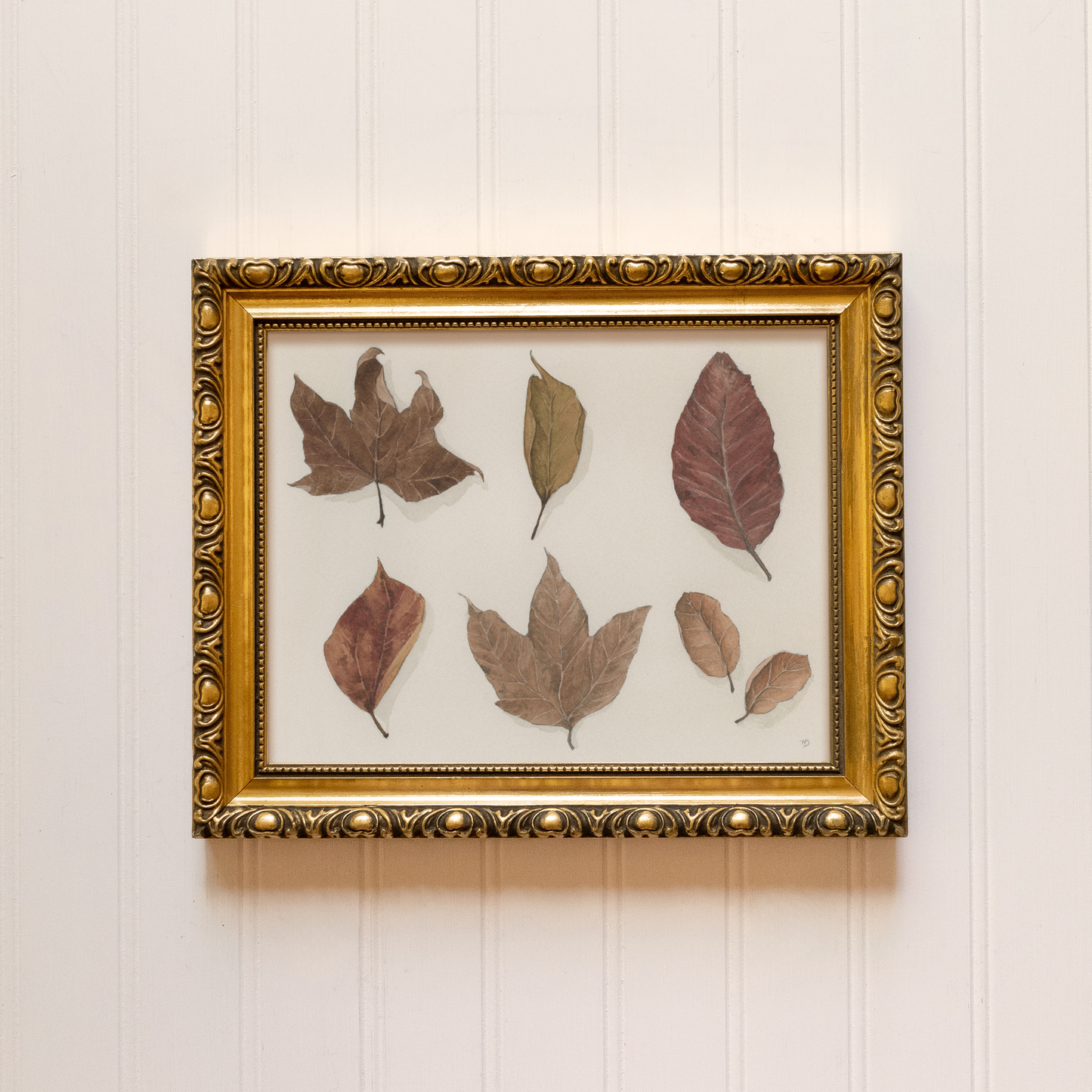 Autumn Leaves - Prints