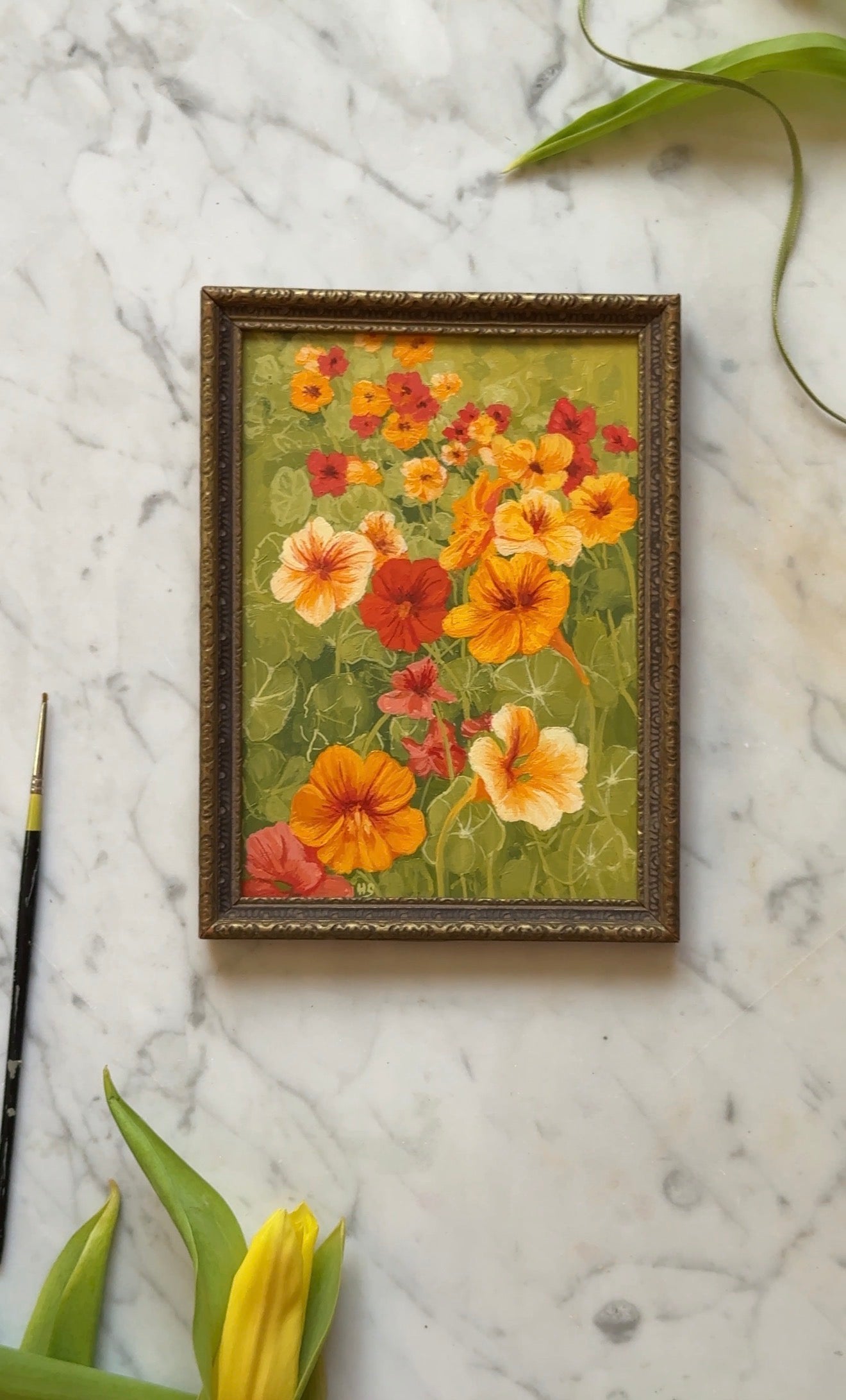 Garden Nasturtium - Original