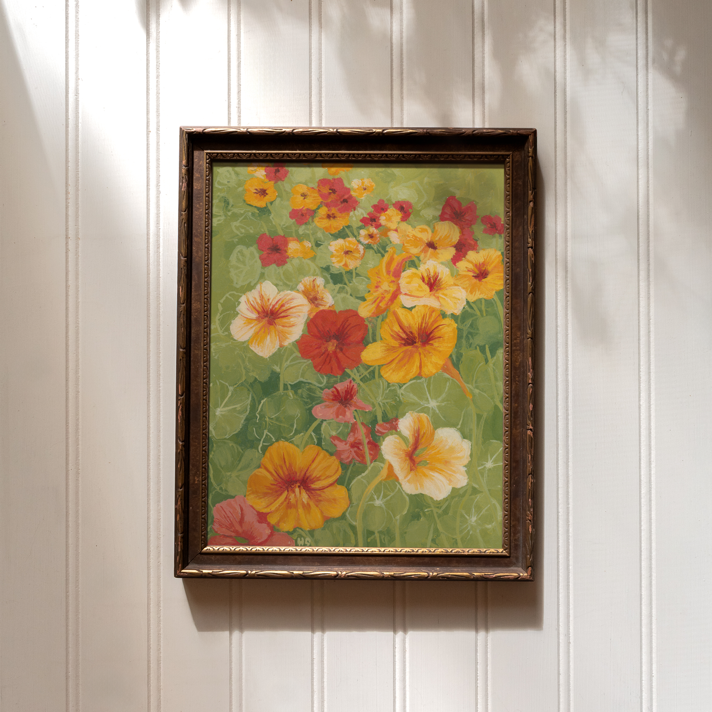 Garden Nasturtium - Print