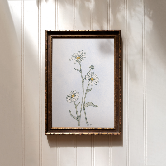 Daisies - Print
