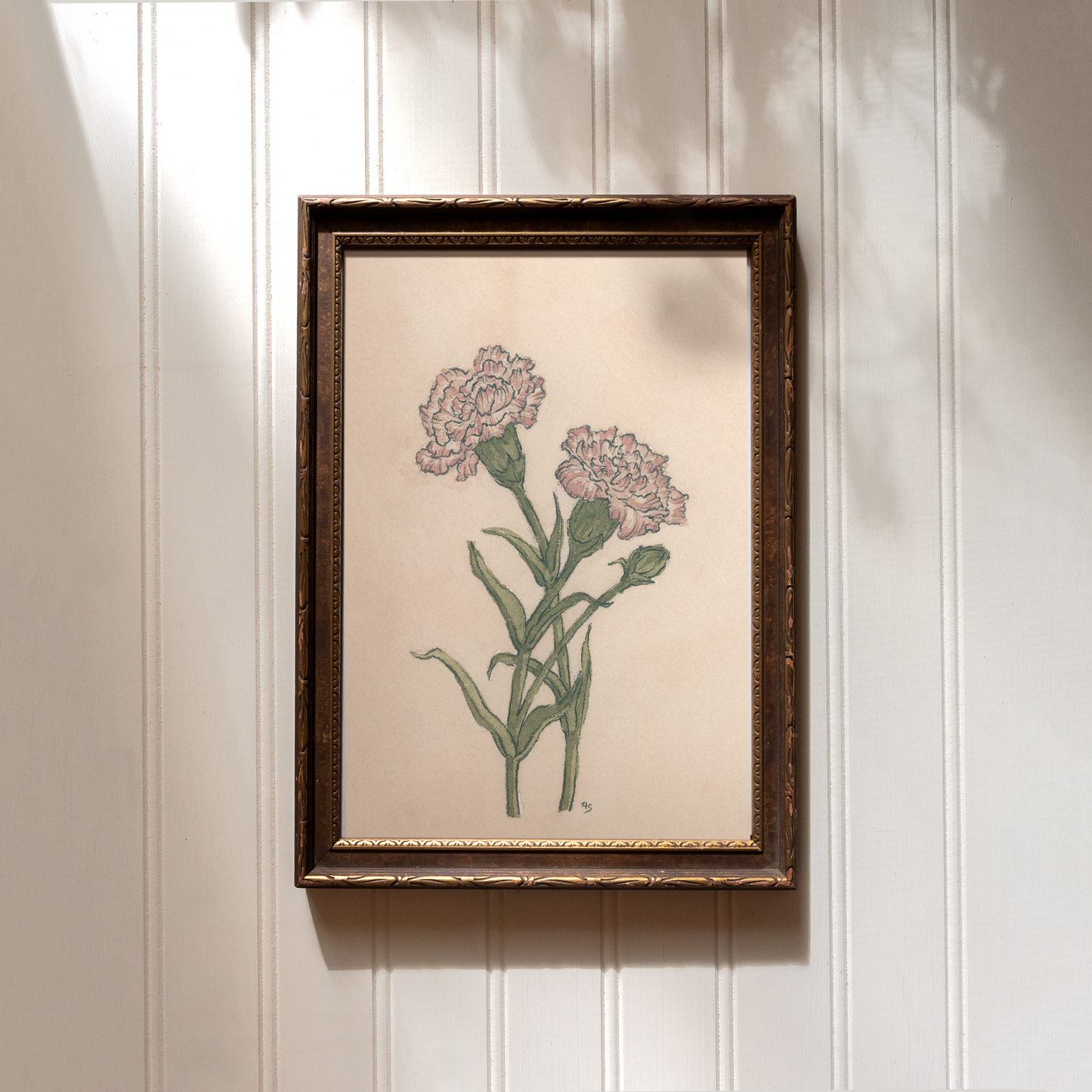 Carnations - Print