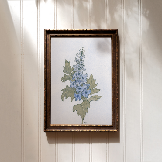 Larkspur - Print