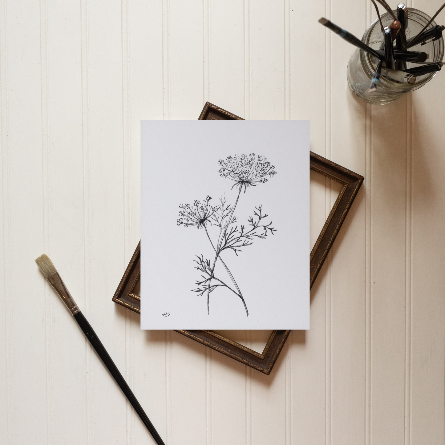 Queen Anne's Lace Sketch - Print