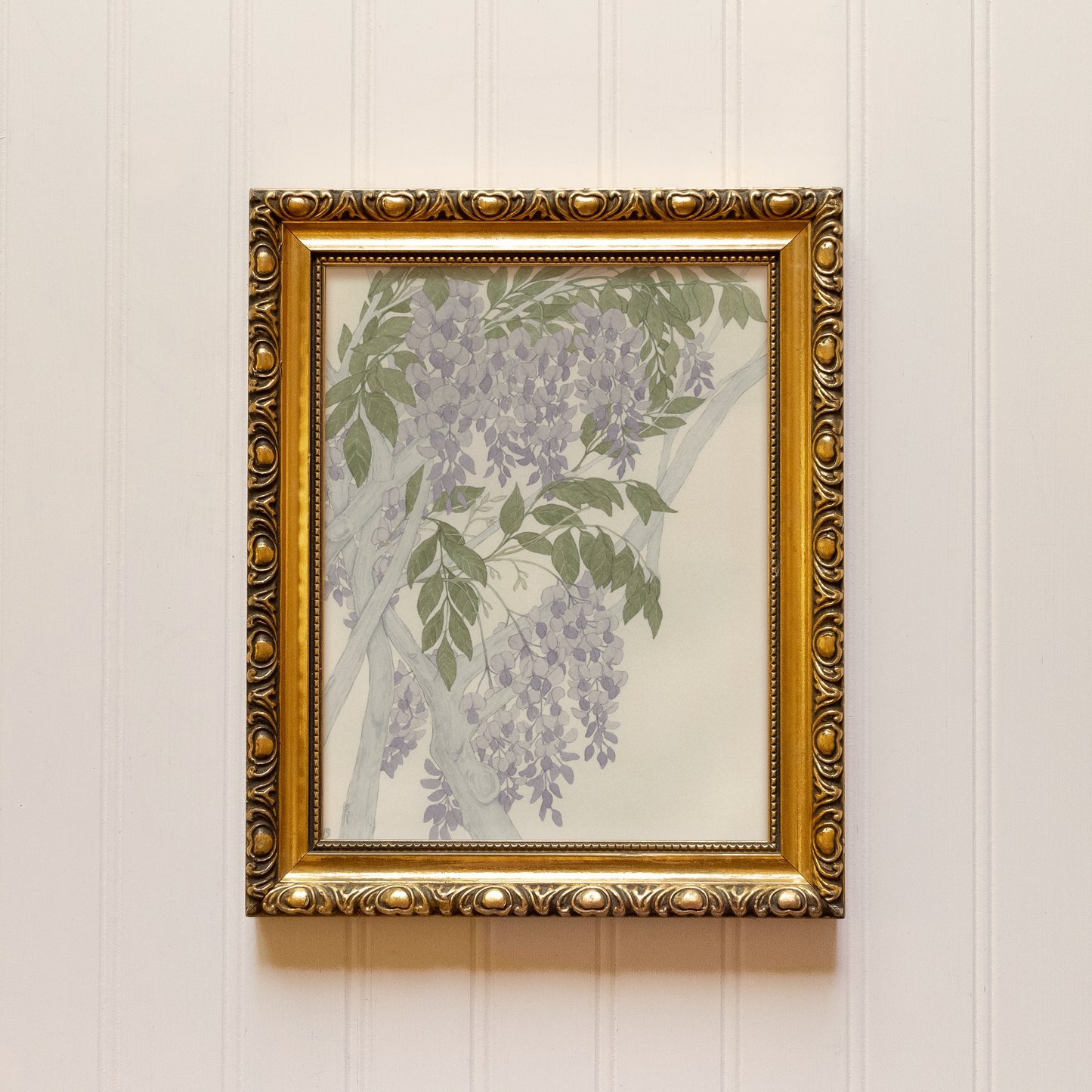 Wisteria - Print
