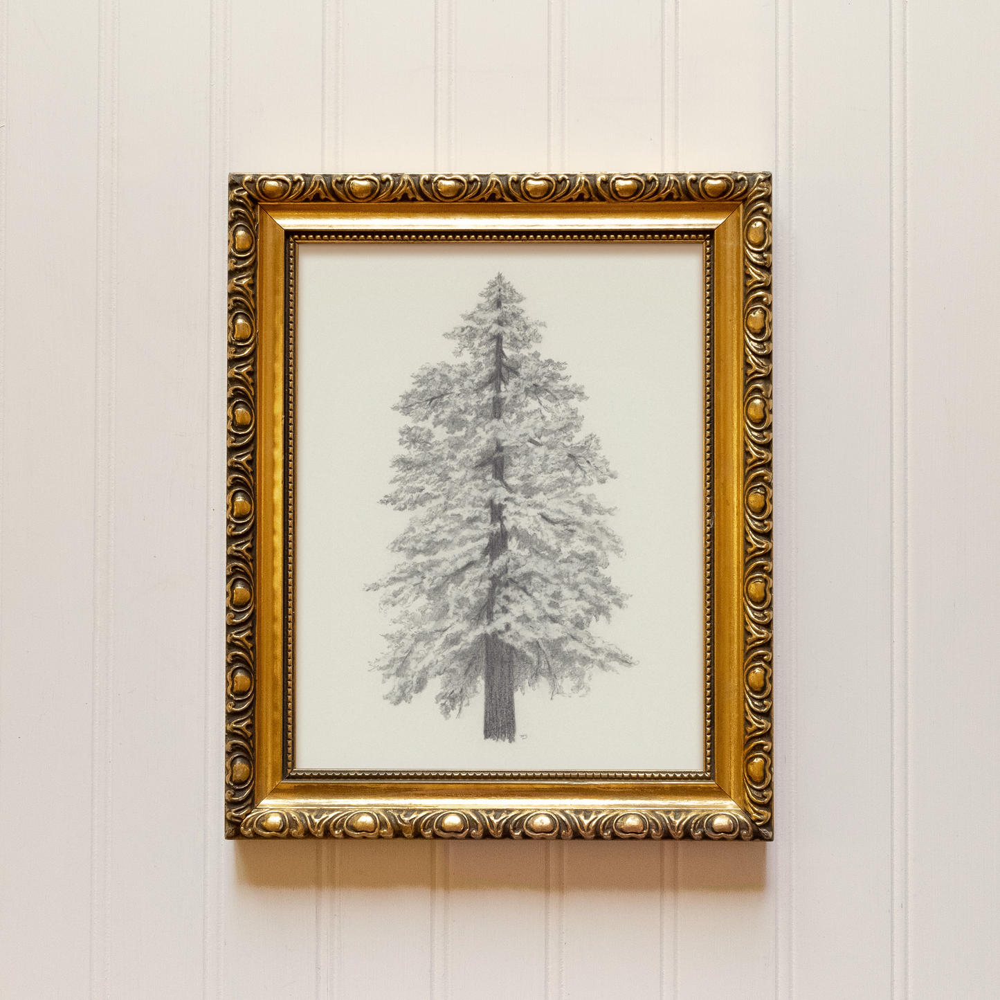 Pine Tree - Print