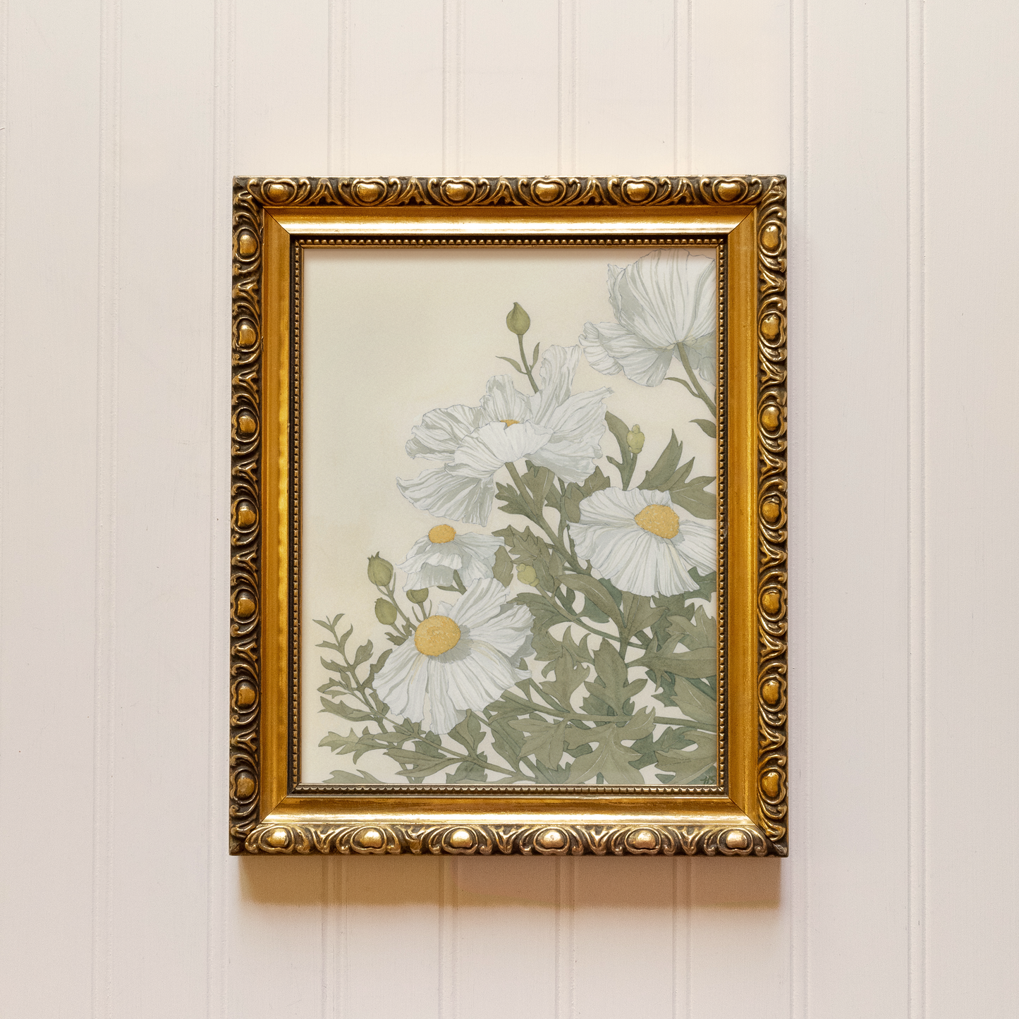 Matilija Poppies - Print