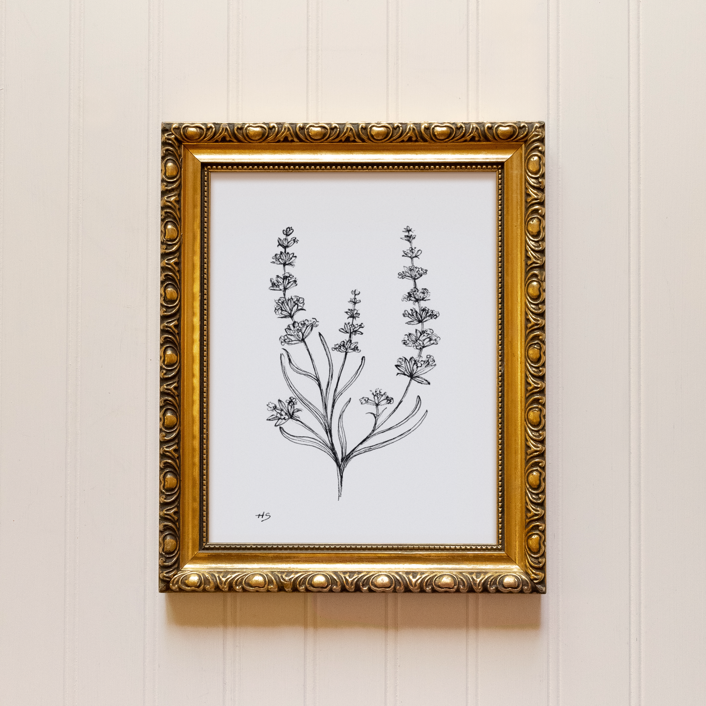 Lavender Sketch - Print