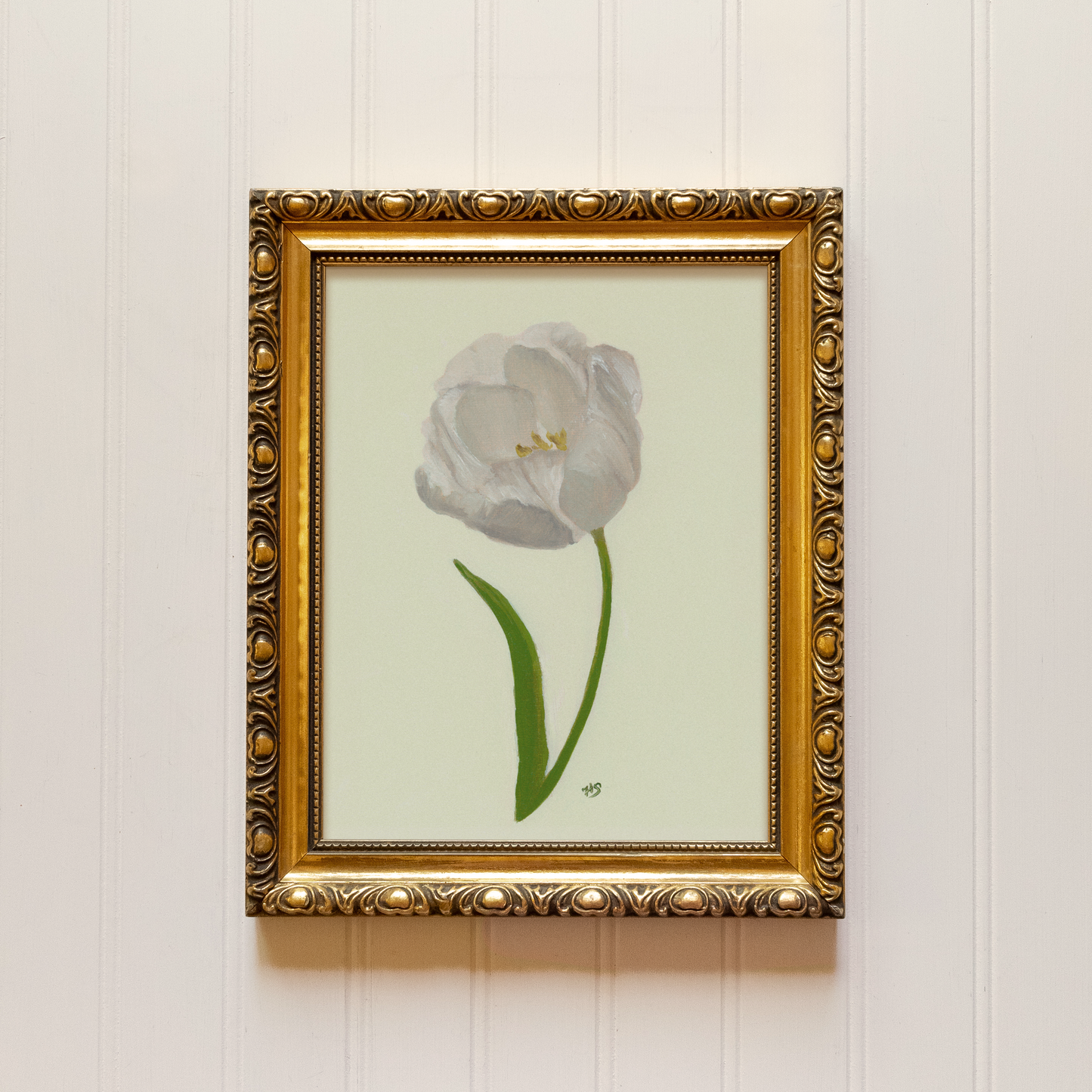 Tulip - Print