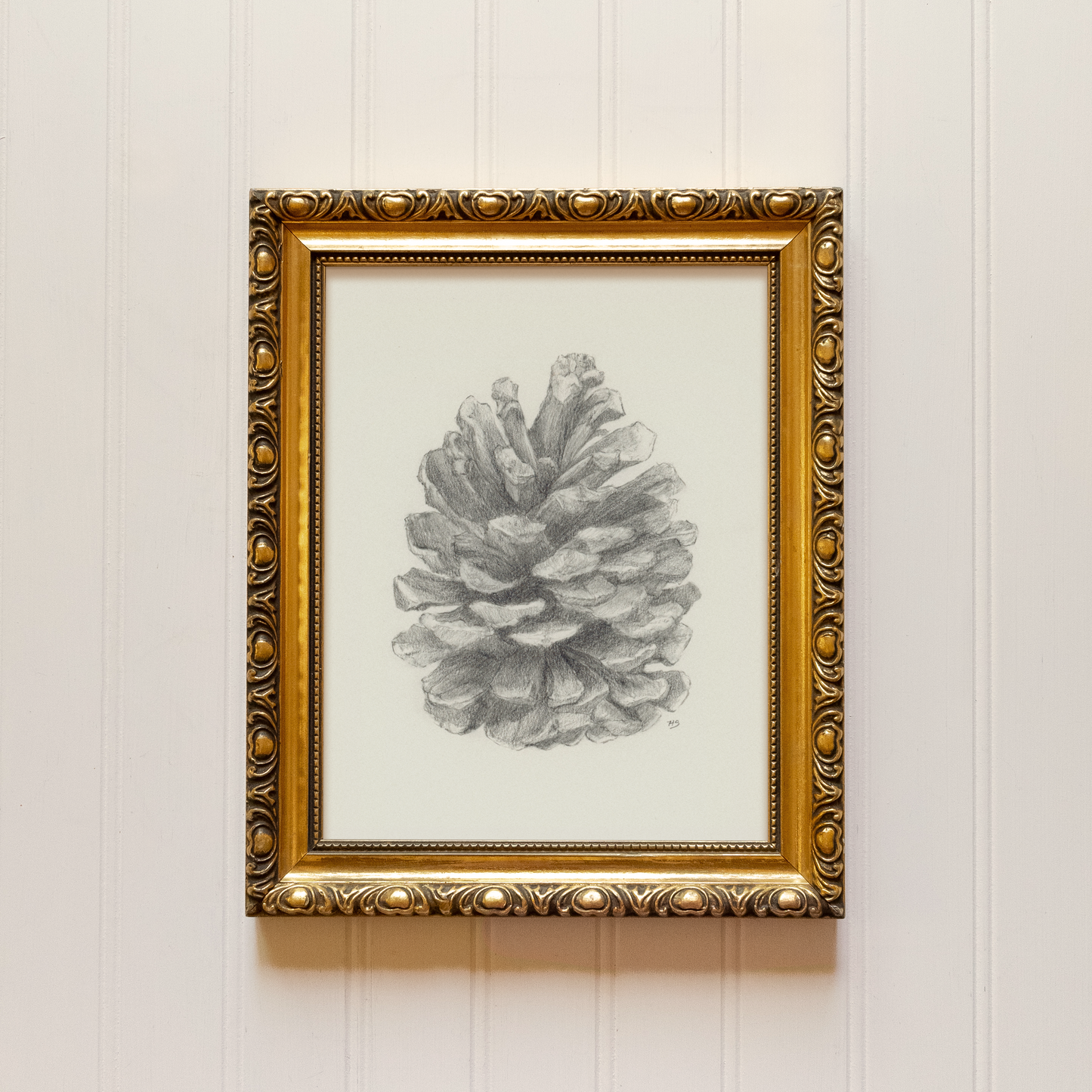 Pine Cone - Print