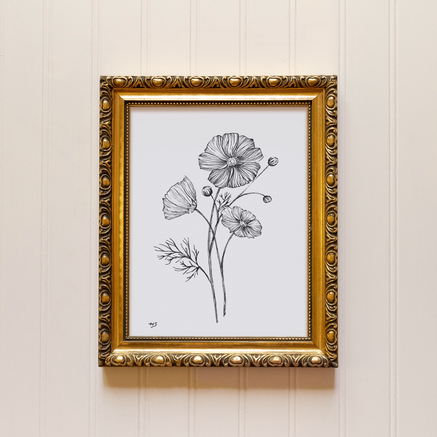 Cosmos Sketch - Print