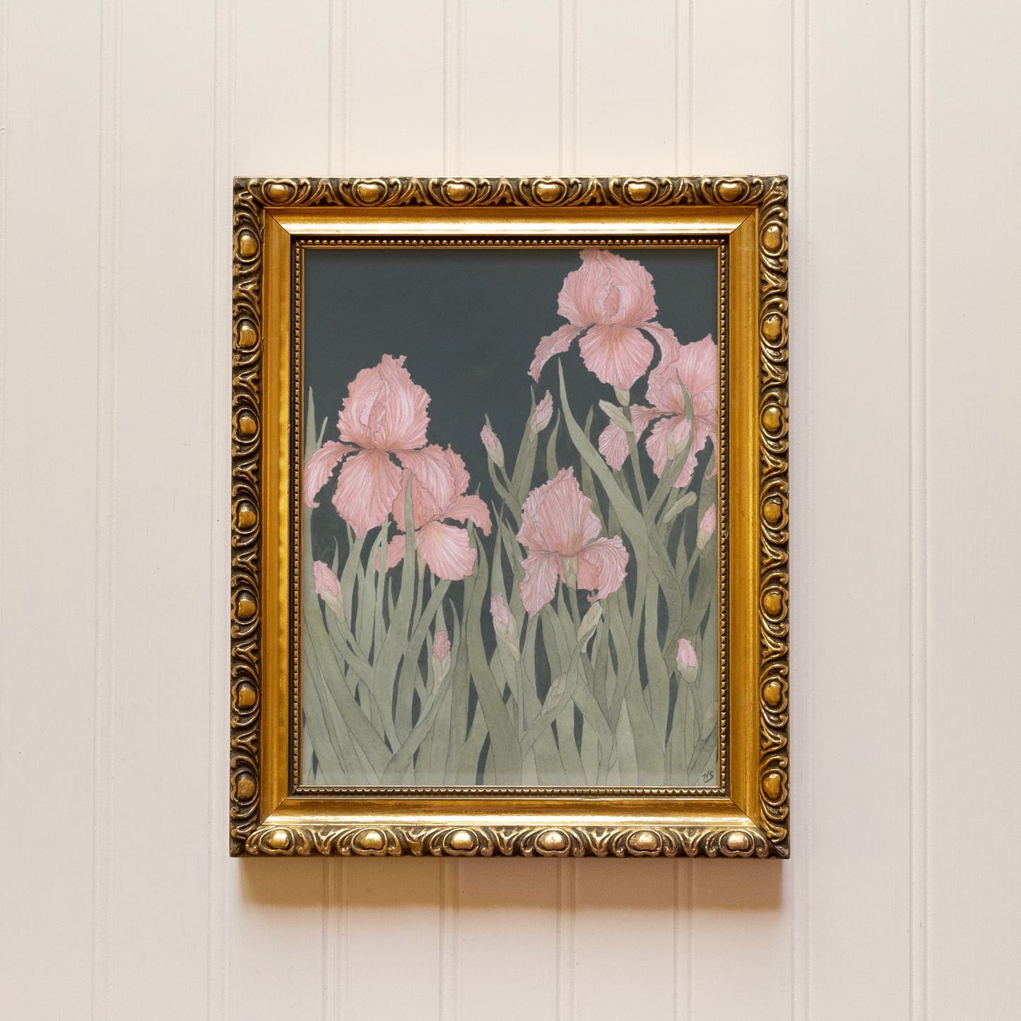 Irises - Print