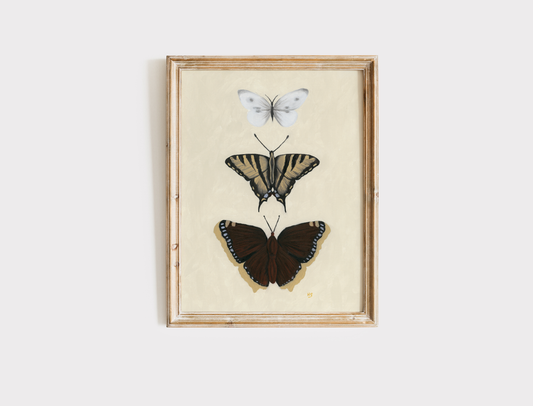 Butterflies - Print