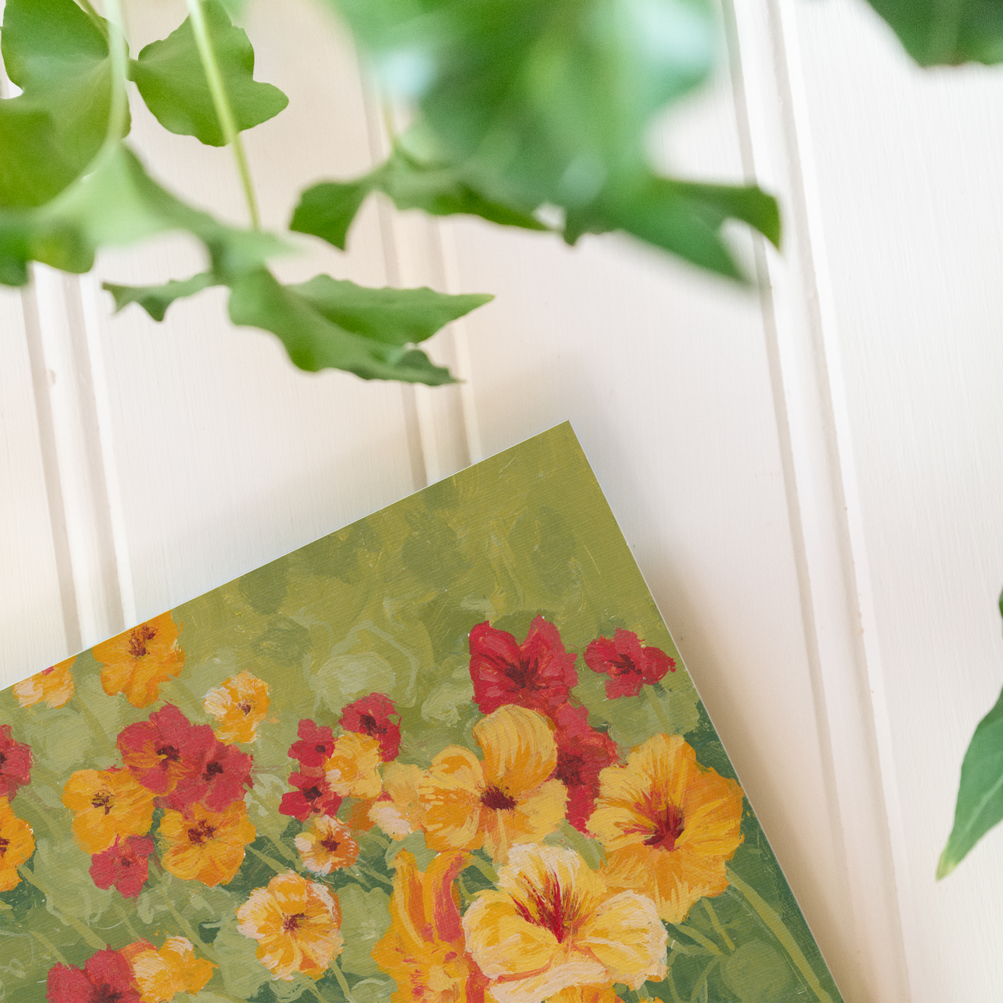 Garden Nasturtium - Print