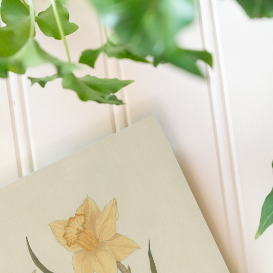 Daffodils - Print