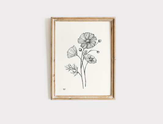 Cosmos Sketch - Print