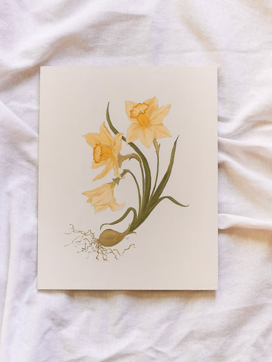 Daffodils - Original (Unframed)