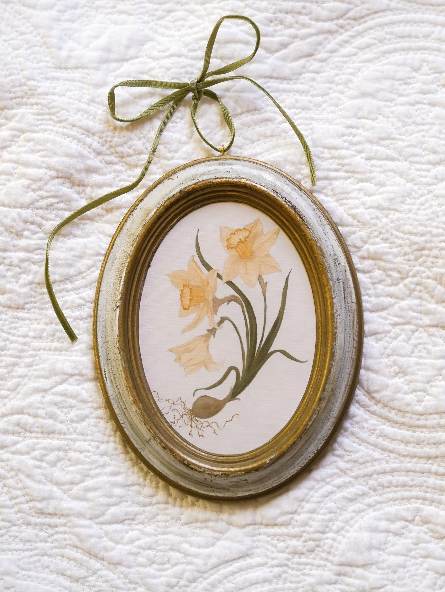 Daffodils - Framed Print